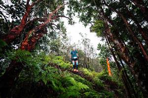 BIB: 
                            <button type="button" onclick="openModal(26202184)" class="btn btn-primary btn-sm float-right btn-popup" data-toggle="modal" data-target=".modal-high-quality">
                        <i class="fas fa-shopping-cart"></i> Add to Cart
                    </button>
                                            <button type="button" onclick="isThisMe(26202184, true)" class="btn btn-success btn-sm float-right btn-popup btn-isme hidden" data-toggle="tooltip" data-placement="bottom" title="นี่คือรูปของคุณใช่ไหม คลิกที่นี่เพื่อเอาเข้าอัลบั้ม">
                        <i class="fas fa-plus"></i> Add to album
                    </button>
                    <button type="button" onclick="isThisMe(26202184, false)" class="btn btn-warning btn-sm float-right btn-popup btn-isnotme hidden">
                        <i class="fas fa-ban"></i> Remove from album
                    </button>